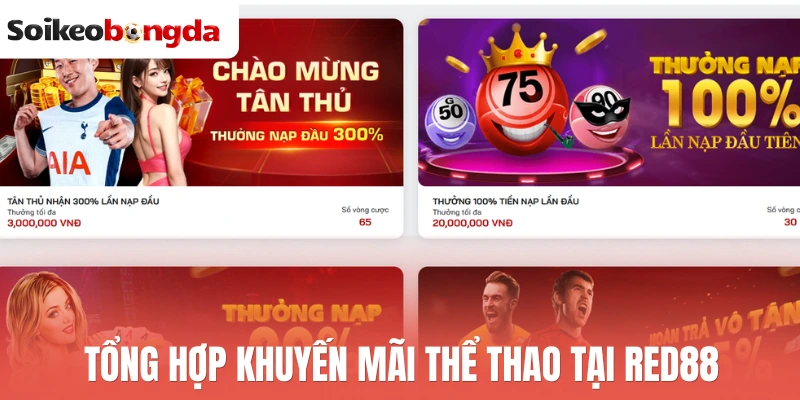 Red88 - Thương Hiệu Bóng Đá Uy Tín, Kèo Ngon Mỗi Ngày 2 Tổng hợp khuyến mãi thể thao tại Red88