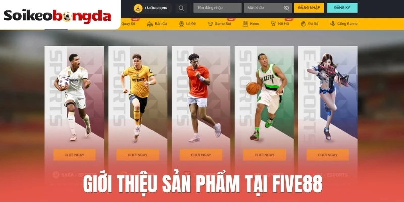 Five88 - Tỷ Lệ Kèo Cạnh Tranh, Hoàn Trả Siêu Hấp Dẫn 1 Giới thiệu sản phẩm tại Five88