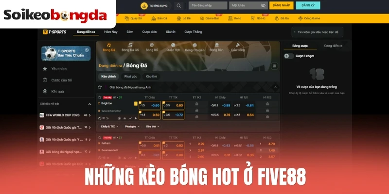 Five88 - Tỷ Lệ Kèo Cạnh Tranh, Hoàn Trả Siêu Hấp Dẫn 3 Những kèo bóng hot ở Five88