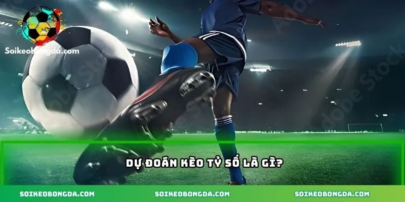 Dự Đoán Kèo Tỷ Số Và Chiến Lược Và Cách Tính Tiền Thắng Cược 1 2-du-doan-keo-ty-so-la-hinh-thuc-pho-bien-tang-ty-le-thang-cuoc