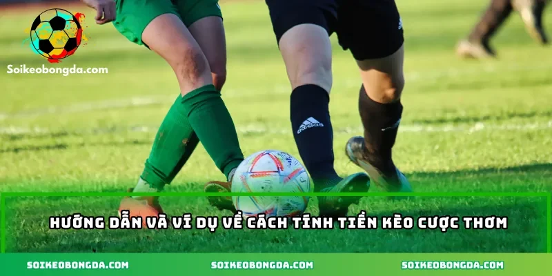 Kèo Thơm – Cách Chơi Và Mẹo Nhận Diện Kèo Hiệu Quả 2 3-huong-dan-va-vi-du-cach-tinh-tien-keo-thom