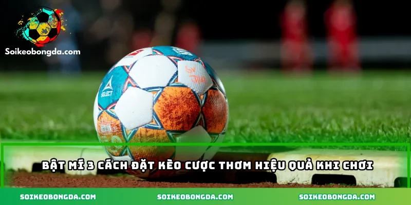 Kèo Thơm – Cách Chơi Và Mẹo Nhận Diện Kèo Hiệu Quả 3 4-bat-mi-3-cach-dat-cuoc-keo-thom-hieu-qua.