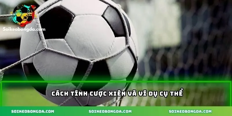 Cược Xiên – Khám Phá Cách Tính Và Kinh Nghiệm Thành Công 2 Cách tính cược xiên và ví dụ kèm theo