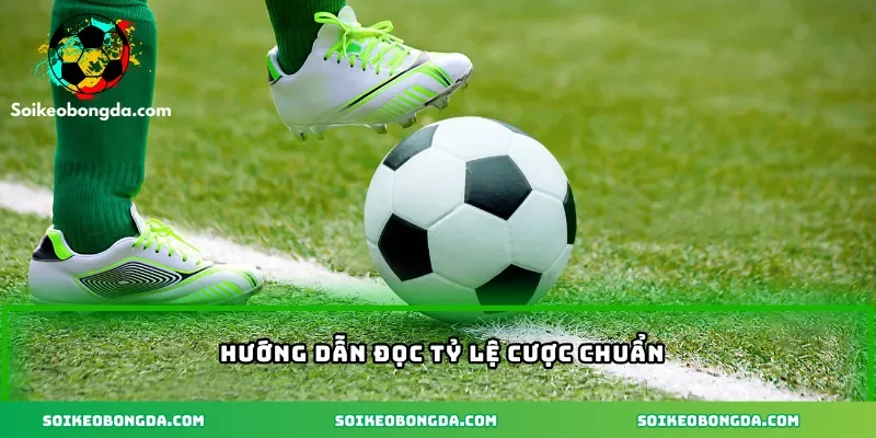 Kèo Đội Giữ Sạch Lưới Cho Mùa Giải 2025 Không Nên Bỏ Lỡ 3 huong-dan-doc-ty-le-cuoc-chuan