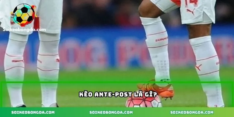 Kèo Ante-Post – Chiến Lược Cược Thông Minh Tại Nhà Cái 1 Tìm hiểu về kèo ante-post