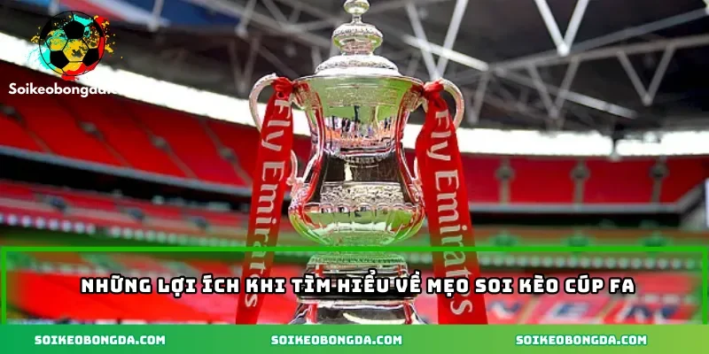 Mẹo Soi Kèo Cúp FA Giúp Người Chơi Tối Ưu Chiến Thắng 1 nhung-loi-ich-khi-tom-hieu-ve-meo-soi-keo-cup-fa