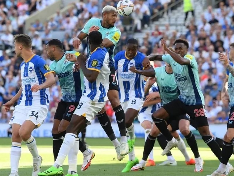 Soi kèo Brighton vs Newcastle vòng 8 giải Ngoại hạng Anh 1 soi-keo-brighton-vs-newcastle-21h-18-10-1