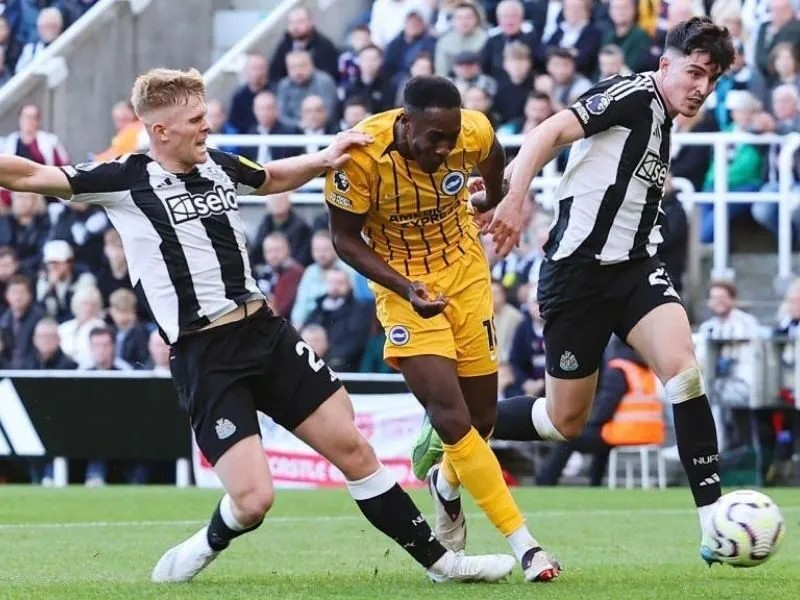 Soi kèo Brighton vs Newcastle vòng 8 giải Ngoại hạng Anh 2 soi-keo-brighton-vs-newcastle-21h-18-10-2