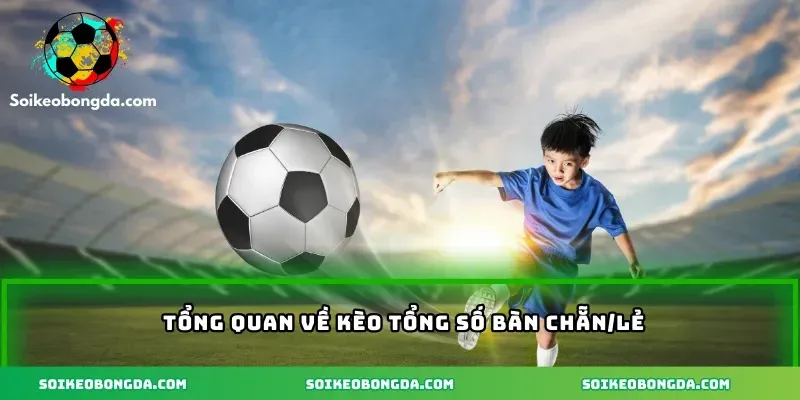 Kèo Tổng Số Bàn Chẵn/Lẻ Chuẩn Xác Khi Tham Gia Cá Cược 1 tong-quan-ve-keo-tong-so-ban-chan-le