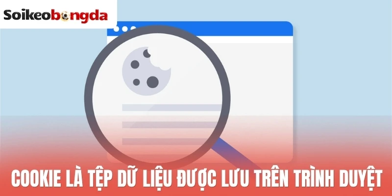 Cookie - Chính Sách Thu Thập Và Sử Dụng Thông Tin Truy Cập 1 Cookie là tệp dữ liệu được lưu trên trình duyệt