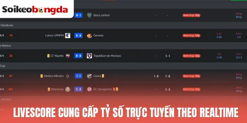 Livescore 24 Livescore cung cấp tỷ số trực tuyến theo realtime