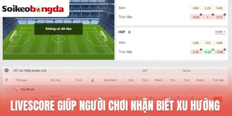 Livescore 28 Livescore giúp người chơi nhận biết xu hướng