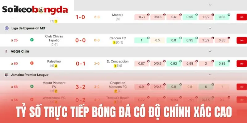 Livescore 26 Tỷ số trực tiếp bóng đá có độ chính xác cao