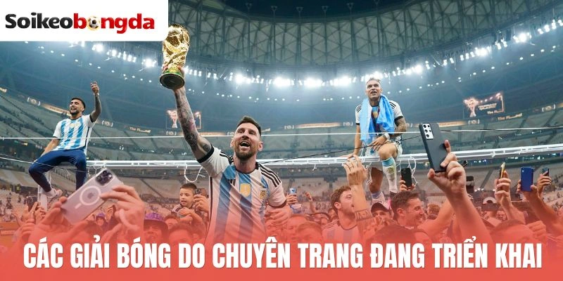 Bongdaso - Trang Tra Cứu Kèo Bóng Đá Hàng Đầu Việt Nam 3 Các giải bóng do chuyên trang đang triển khai