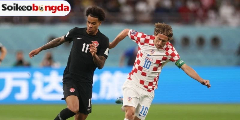 Soi Kèo Bóng Đá Bosnia And Herzegovina Vs Qatar - Bảng B World Cup 02h00 25/06/2026 5 Kèo Châu Á
Dự đoán bảng kèo trận Bosnia and Herzegovina vs Qatar