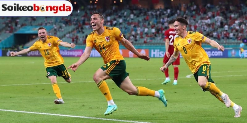Kèo Bóng Đá Thổ Nhĩ Kỳ Vs Hoa Kỳ - Bảng D World Cup 09h00 26/06/2026 5 Dự đoán bảng kèo trận Thổ Nhĩ Kỳ vs Hoa Kỳ