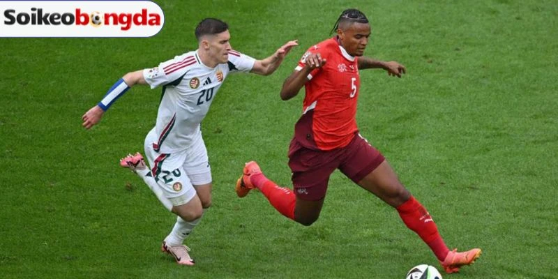 Soi Kèo Thụy Sĩ VS Canada - Bảng B World Cup 02h00 25/06/2026 5 Dự đoán bảng kèo trận Thụy Sĩ vs Canada