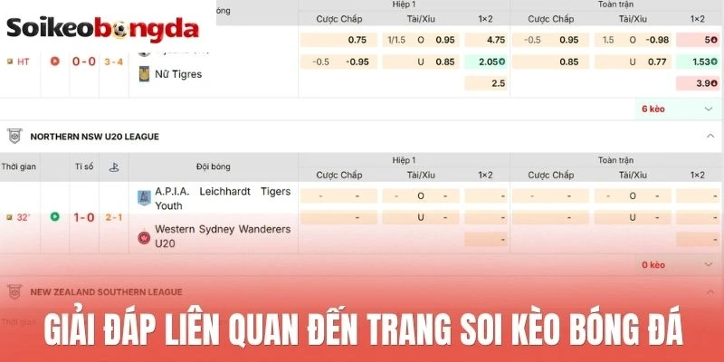 Cá cược bóng đá kịch tính ở Red88