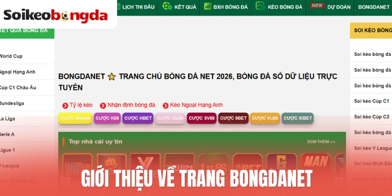 Bongdanet - Trang Bóng Đá Uy Tín, Cập Nhật Tin Hot Mỗi Ngày 1 Giới thiệu về trang Bongdanet