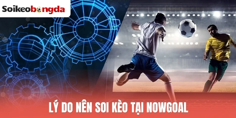 Nowgoal - Nền Tảng Soi Kèo Bóng Đá Uy Tín Nhất Hôm Nay 3 Lý do nên soi kèo tại Nowgoal