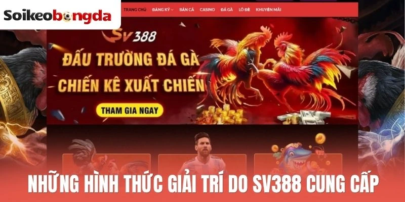 Những hình thức giải trí do Sv388 cung cấp