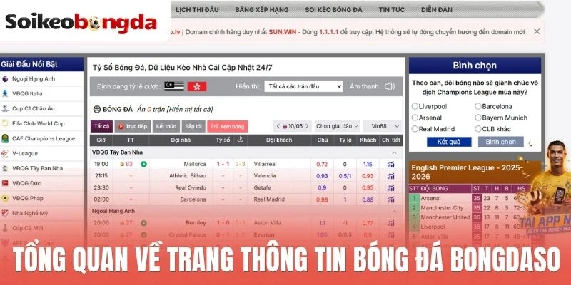 Bongdaso - Trang Tra Cứu Kèo Bóng Đá Hàng Đầu Việt Nam 1 Tổng quan về trang thông tin bóng đá Bongdaso