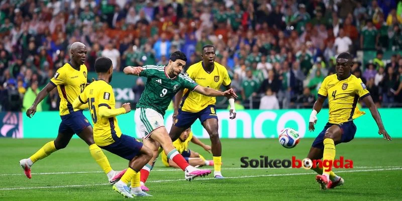 Lực lượng ra sân trong trận Mexico vs Anh