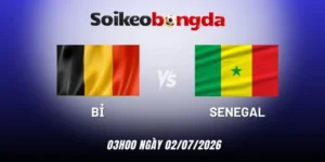 Soi kèo Bỉ vs Senegal - Vòng 1/16 World Cup 03h00 02/07/2026
